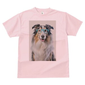 R[ TVc  j[NfUCfB[X t@  t vg lJWA 킢 lԗp Mtg I ҏ΍ Kl R[