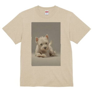 EGXgnChzCgeA TVc  j[NfUCY LbY t@  t vg lJWA 킢 lԗp Mtg I ҏ΍ EGXgnCh