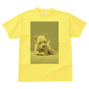 EGXgnChzCgeA TVc  j[NfUCfB[X t@  t vg lJWA 킢 lԗp Mtg I ҏ΍ EGXgnChz