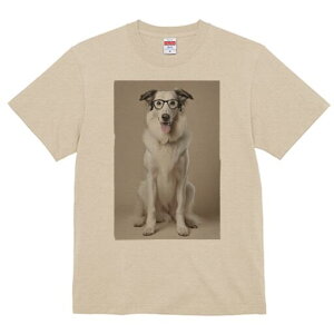 {]C TVc  j[NfUCfB[X t@  t vg lJWA 킢 lԗp Mtg I ҏ΍ Kl {]C