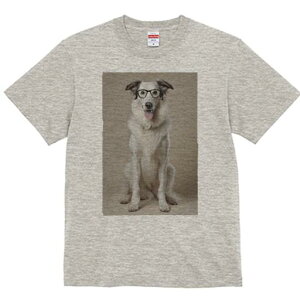 {]C TVc  j[NfUCfB[X t@  t vg lJWA 킢 lԗp Mtg I ҏ΍ Kl {]C