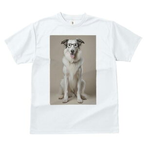 {]C TVc  j[NfUCY LbY t@  t vg lJWA 킢 lԗp Mtg I ҏ΍ Kl {]C