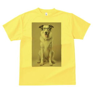 {]C TVc  j[NfUCfB[X t@  t vg lJWA 킢 lԗp Mtg I ҏ΍ Kl {]C