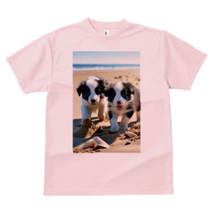 ボーダーコリー Tシャツ 犬愛 ユニークデザインレディース 犬ファン 半袖 春夏 プリント 大人カジュアル かわいい 人間用 ギフト 個性的 猛暑対策 ビーチ ボーダーコリー 海 砂 貝殻