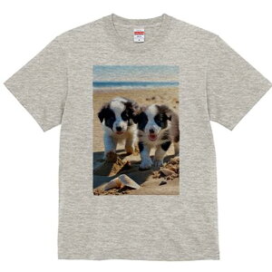 {[_[R[ TVc  j[NfUCfB[X t@  t vg lJWA 킢 lԗp Mtg I ҏ΍ r[` {[_[R[ C  Lk