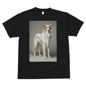 {]C TVc  j[NfUCfB[X t@  t vg lJWA 킢 lԗp Mtg I ҏ΍ Kl {]C