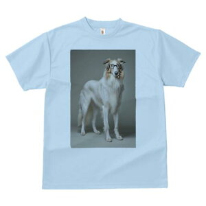 {]C TVc  j[NfUCfB[X t@  t vg lJWA 킢 lԗp Mtg I ҏ΍ Kl {]C