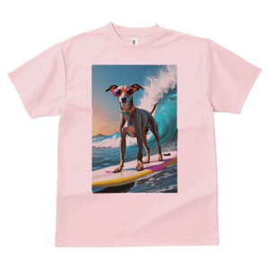 C^AO[nEh TVc  j[NfUCfB[X t@  t vg lJWA 킢 lԗp Mtg I ҏ΍ TOX C^AO[n