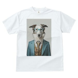 {]C TVc  j[NfUCfB[X t@  t vg lJWA 킢 lԗp Mtg I ҏ΍ X[c {]C ዾ lN^C xXg