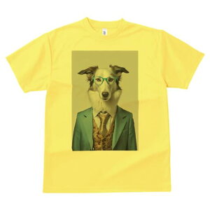 {]C TVc  j[NfUCfB[X t@  t vg lJWA 킢 lԗp Mtg I ҏ΍ X[c {]C ዾ lN^C xXg