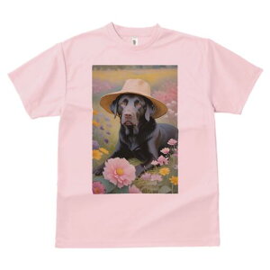 uh[go[ TVc  j[NfUCfB[X t@  t vg lJWA 킢 lԗp Mtg I ҏ΍  uh[go[ Xq 