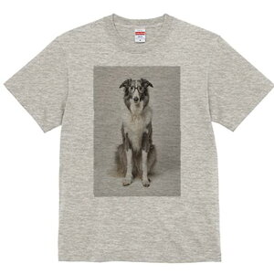 {]C TVc  j[NfUCfB[X t@  t vg lJWA 킢 lԗp Mtg I ҏ΍ Kl {]C