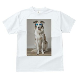 {]C TVc  j[NfUCfB[X t@  t vg lJWA 킢 lԗp Mtg I ҏ΍ TOX {]C