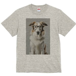 {[_[R[ TVc  j[NfUCfB[X t@  t vg lJWA 킢 lԗp Mtg I ҏ΍ Kl {[_[R[