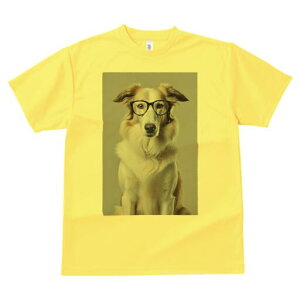 {[_[R[ TVc  j[NfUCY LbY t@  t vg lJWA 킢 lԗp Mtg I ҏ΍ Kl {[_[R[