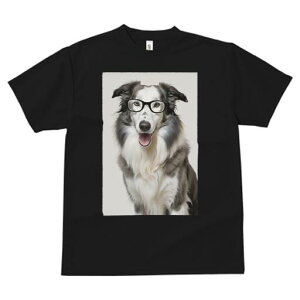 {[_[R[ TVc  j[NfUCfB[X t@  t vg lJWA 킢 lԗp Mtg I ҏ΍ Kl {[_[R[