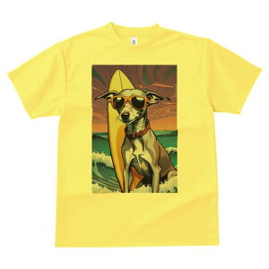 C^AO[nEh TVc  j[NfUCY LbY t@  t vg lJWA 킢 lԗp Mtg I ҏ΍ T[tB C^AO