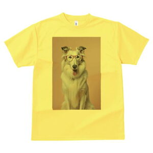 R[ TVc  j[NfUCfB[X t@  t vg lJWA 킢 lԗp Mtg I ҏ΍ Kl R[