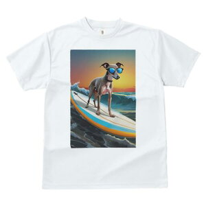 C^AO[nEh TVc  j[NfUCfB[X t@  t vg lJWA 킢 lԗp Mtg I ҏ΍ T[tB C^AO[n