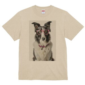 {[_[R[ TVc  j[NfUCfB[X t@  t vg lJWA 킢 lԗp Mtg I ҏ΍ Kl {[_[R[  y_g