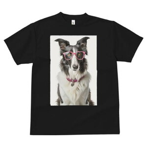 {[_[R[ TVc  j[NfUCfB[X t@  t vg lJWA 킢 lԗp Mtg I ҏ΍ Kl {[_[R[  y_g