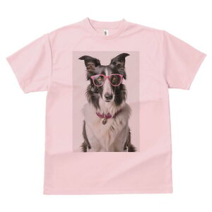 {[_[R[ TVc  j[NfUCfB[X t@  t vg lJWA 킢 lԗp Mtg I ҏ΍ Kl {[_[R[  y_g