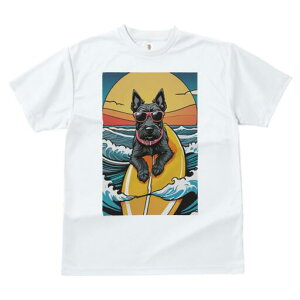 XReBbVeA TVc  j[NfUCY LbY t@  t vg lJWA 킢 lԗp Mtg I ҏ΍ T[tB XReBbVe