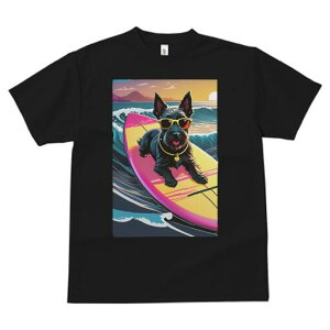 XReBbVeA TVc  j[NfUCfB[X t@  t vg lJWA 킢 lԗp Mtg I ҏ΍ T[tB XReBbVeA 