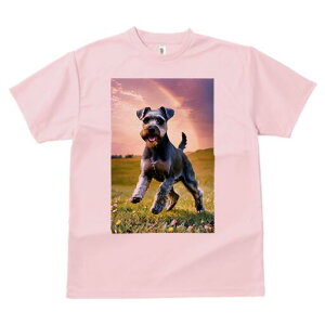 ~j`AViEU[ TVc  j[NfUCfB[X t@  t vg lJWA 킢 lԗp Mtg I ҏ΍  ~j`AViEU[  