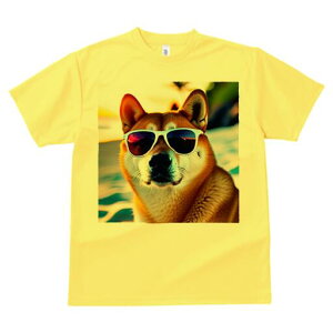 Č TVc  j[NfUCfB[X t@  t vg lJWA 킢 lԗp Mtg I ҏ΍ TOX Č