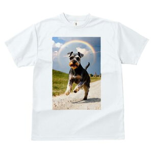 ~j`AViEU[ TVc  j[NfUCfB[X t@  t vg lJWA 킢 lԗp Mtg I ҏ΍  ~j`AViEU[  _ 