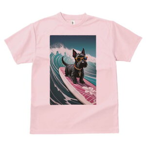 XReBbVeA TVc  j[NfUCY LbY t@  t vg lJWA 킢 lԗp Mtg I ҏ΍ T[tB XReBbVe