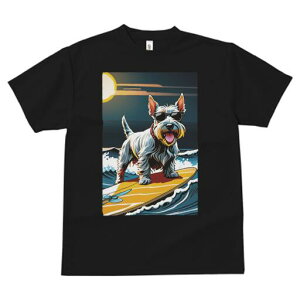 EGXgnChzCgeA TVc  j[NfUCfB[X t@  t vg lJWA 킢 lԗp Mtg I ҏ΍ T[tB EGXgn