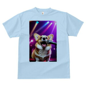 R[M[ TVc  j[NfUCfB[X t@  t vg lJWA 킢 lԗp Mtg I ҏ΍ Xe[W R[M[ Cg