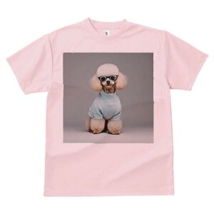 v[h TVc  j[NfUCfB[X t@  t vg lJWA 킢 lԗp Mtg I ҏ΍ Z[^[ v[h Kl