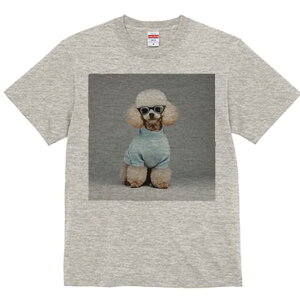 v[h TVc  j[NfUCfB[X t@  t vg lJWA 킢 lԗp Mtg I ҏ΍ Z[^[ v[h Kl