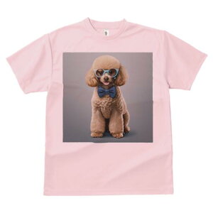 gCv[h TVc  j[NfUCY LbY t@  t vg lJWA 킢 lԗp Mtg I ҏ΍ Kl gCv[h lN^C