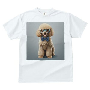 gCv[h TVc  j[NfUCY LbY t@  t vg lJWA 킢 lԗp Mtg I ҏ΍ Kl gCv[h lN^C