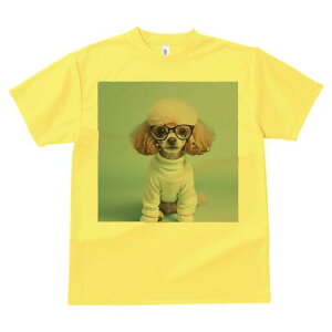 gCv[h TVc  j[NfUCfB[X t@  t vg lJWA 킢 lԗp Mtg I ҏ΍ Kl gCv[h Z[^[