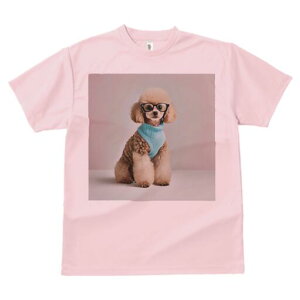 gCv[h TVc  j[NfUCY LbY t@  t vg lJWA 킢 lԗp Mtg I ҏ΍ Kl gCv[h Z[^[