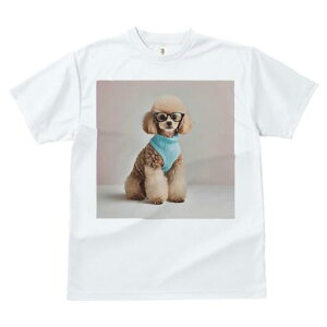 gCv[h TVc  j[NfUCfB[X t@  t vg lJWA 킢 lԗp Mtg I ҏ΍ Kl gCv[h Z[^[