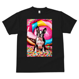 {XgeA TVc  j[NfUCY LbY t@  t vg lJWA 킢 lԗp Mtg I ҏ΍ h[ic {XgeA LfB