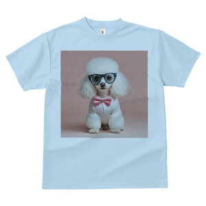 gCv[h TVc  j[NfUCfB[X t@  t vg lJWA 킢 lԗp Mtg I ҏ΍ Kl gCv[h lN^C Vc