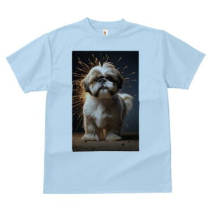 V[Y[ TVc  j[NfUCfB[X t@  t vg lJWA 킢 lԗp Mtg I ҏ΍ wi V[Y[  P