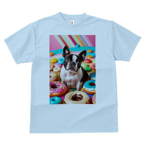 {XgeA TVc  j[NfUCY LbY t@  t vg lJWA 킢 lԗp Mtg I ҏ΍ h[ic {XgeA LfB J