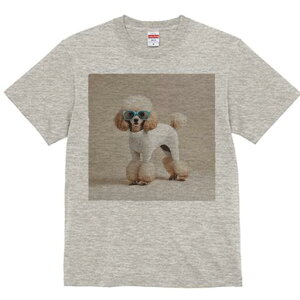 v[h TVc  j[NfUCY LbY t@  t vg lJWA 킢 lԗp Mtg I ҏ΍ Kl v[h Z[^[