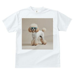 v[h TVc  j[NfUCfB[X t@  t vg lJWA 킢 lԗp Mtg I ҏ΍ Kl v[h Z[^[