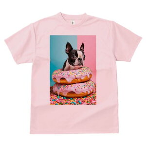 {XgeA TVc  j[NfUCfB[X t@  t vg lJWA 킢 lԗp Mtg I ҏ΍ h[ic {XgeA XC[c َq 