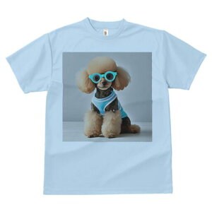 gCv[h TVc  j[NfUCfB[X t@  t vg lJWA 킢 lԗp Mtg I ҏ΍ Kl gCv[h TVc