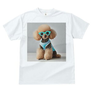 gCv[h TVc  j[NfUCY LbY t@  t vg lJWA 킢 lԗp Mtg I ҏ΍ Kl gCv[h